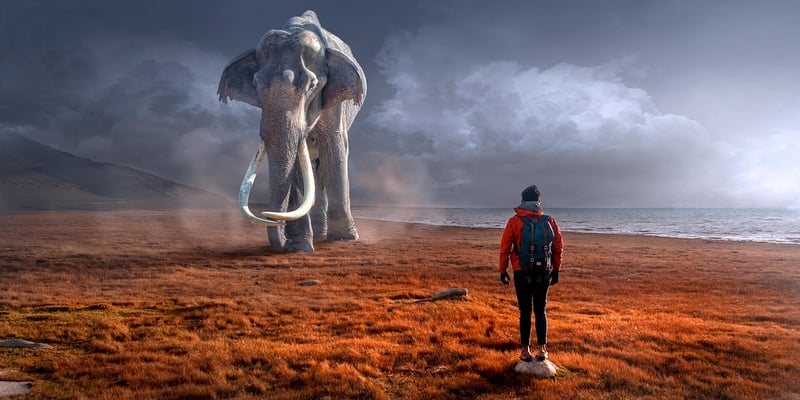 Mystical adventures